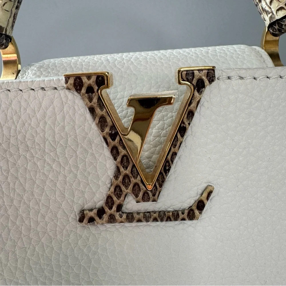 Louis Vuitton Taurillon & Python Leather Capucines Mini Handbag - Picture 2 of 16